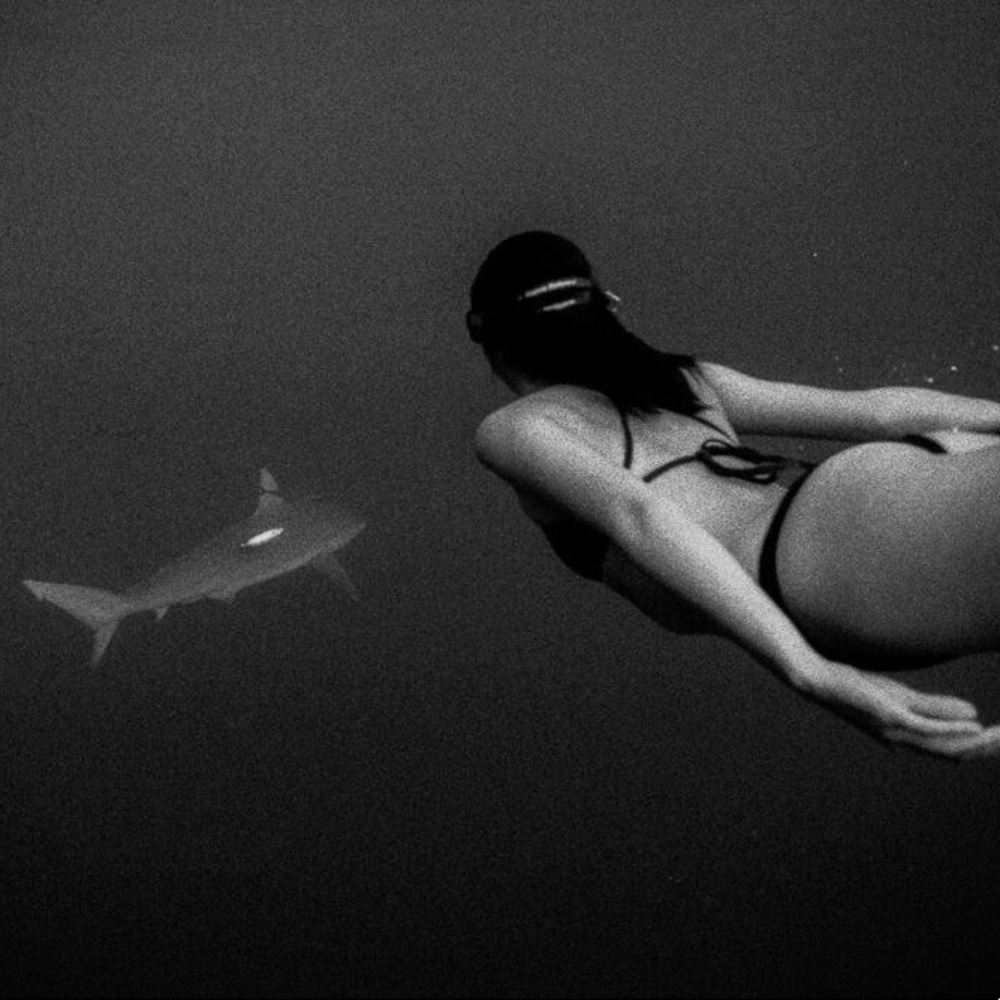 Meet your Posher, Candice